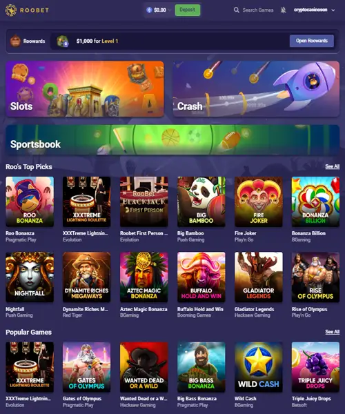 Roobet screenshot casino lobby with slot games, live dealer tables, payment options, and user interface elements