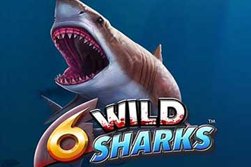 6 Wild Sharks best online slot