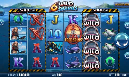 6 Wild Sharks base game screenshot showing reels and features