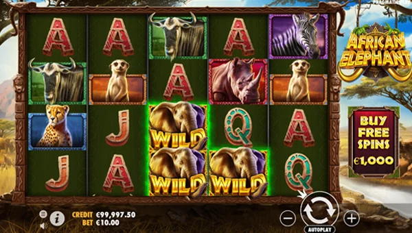African Elephant base game screenshot showing reels and features