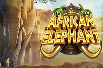 African Elephant best online slot