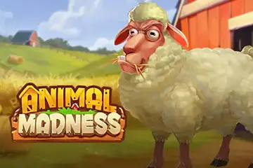 Animal Madness best online slot