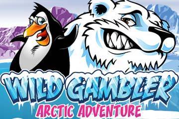 Wild Gambler Arctic Adventure best online slot