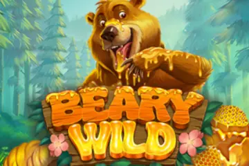 Beary Wild best online slot