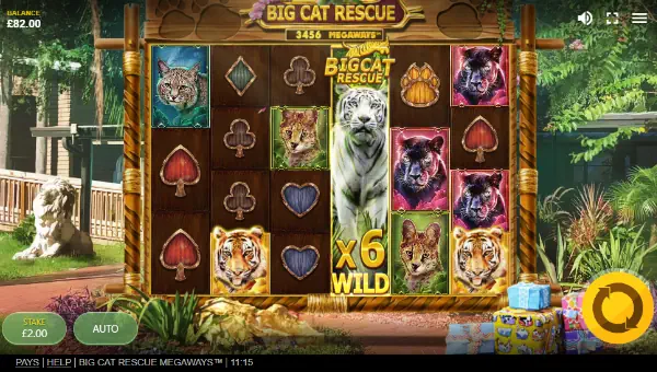 Big Cat Rescue Megaways base game screenshot showing reels and features