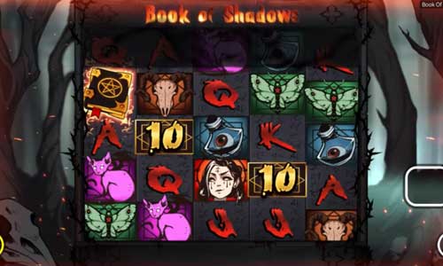 Book of Shadows base game screenshot showing reels and features