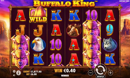 Buffalo King base game screenshot showing reels and features