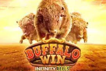 Buffalo Win best online slot