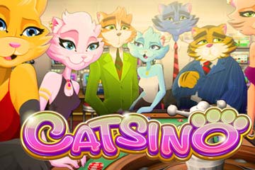 Catsino best online slot