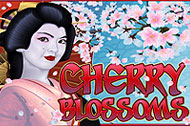 Cherry Blossoms best online slot