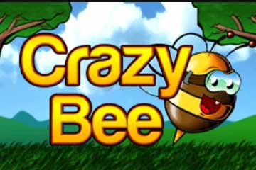 Crazy Bee best online slot