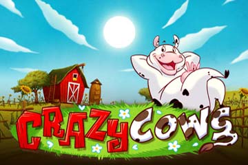 Crazy Cows best online slot