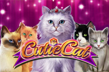 Cutie Cat best online slot
