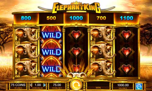 Elephant King base game screenshot showing reels and features