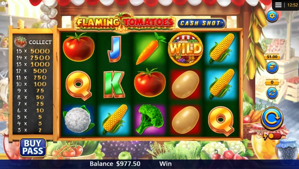 Flaming Tomatoes Cash Shot base game screenshot showing reels and features