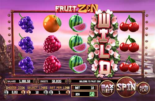 Fruit Zen base game screenshot showing reels and features