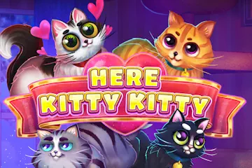 Here Kitty Kitty best online slot