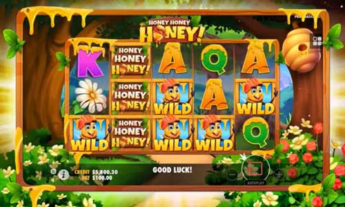 Honey Honey Honey base game screenshot showing reels and features