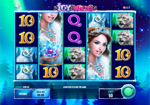 Icy WIlds base game screenshot showing reels and features