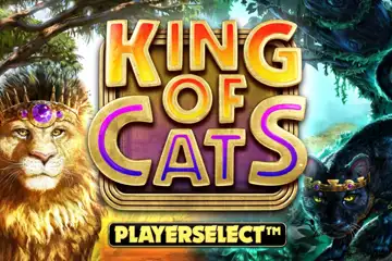 King of Cats Megaways best online slot