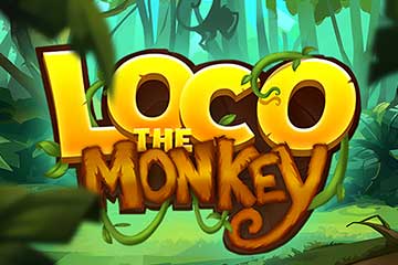 Loco the Monkey best online slot