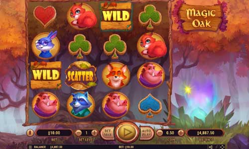 Magic Oak base game screenshot showing reels and features