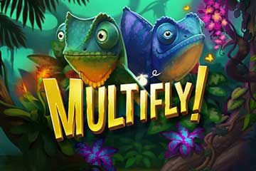 Multifly best online slot