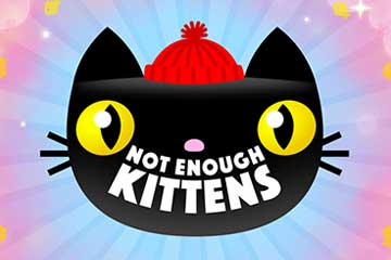 Not Enough Kittens best online slot