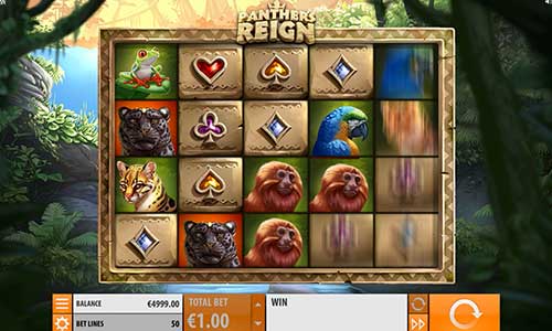 Panthers Reign base game screenshot showing reels and features