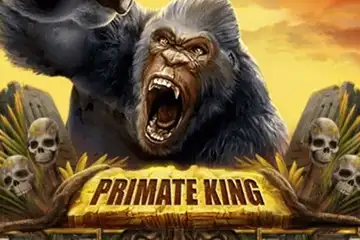 Primate King best online slot
