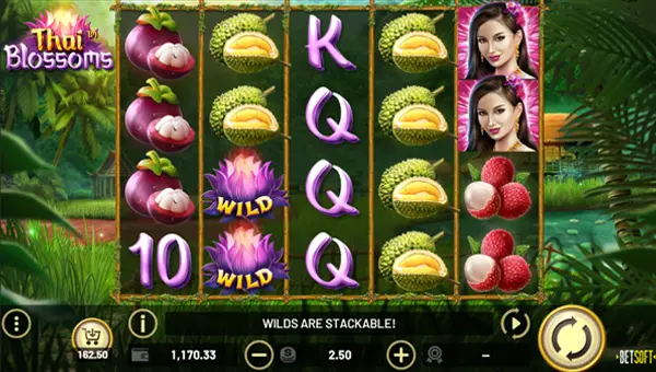 Thai Blossoms base game screenshot showing reels and features