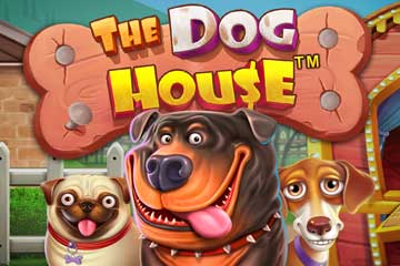 The Dog House best online slot