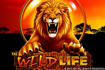 The Wild Life best online slot