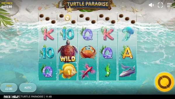 Turtle Paradise base game screenshot showing reels and features