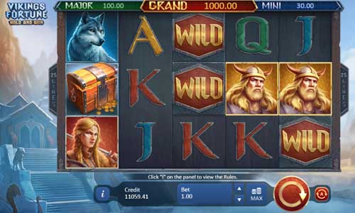 Vikings Fortune Hold and Win base game screenshot showing reels and features