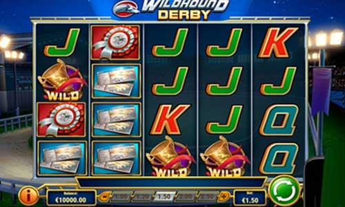 Wildhound Derby base game screenshot showing reels and features