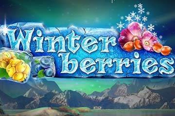 Winter Berries best online slot
